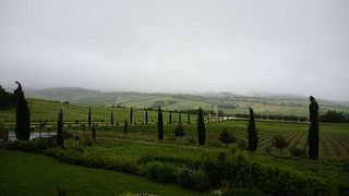 Visita e degustação de vinhos em Terradicreta