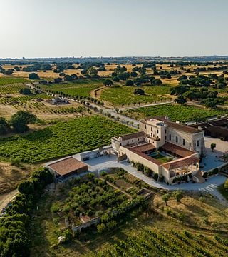 Fitapreta  Master of Wine