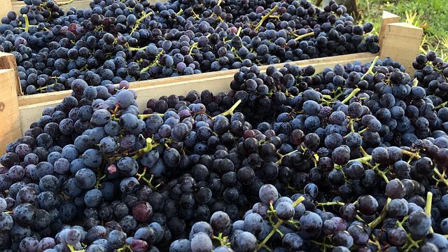 Corte Bravi Winery