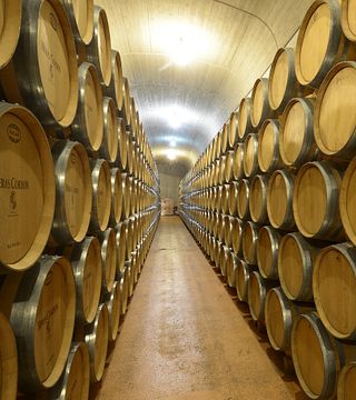 Cata de vinos y visita guiada en Heras Cordon