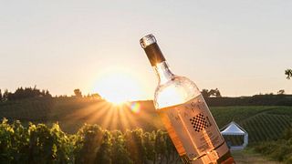 Zerbina Classic Winery Tour