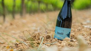 Mas Bertran Winery