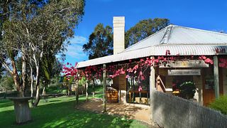 Mount Avoca Winery