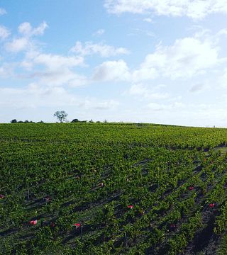 Domaine de l'Enchantoir
