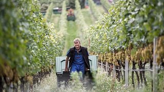 Dégustation de vins biologiques au Bergmannhof