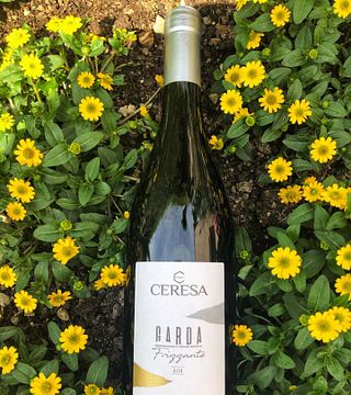 Cantina Ceresa