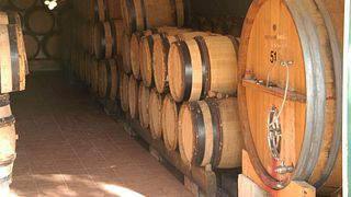 Visita y cata de vinos biodinámicos en Domaine de Malavieille