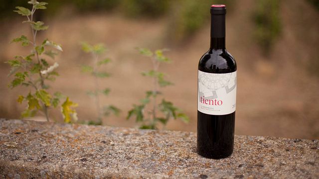 Degustação de Vinhos e Tour em Bodegas Y Viñedos La Mejorada