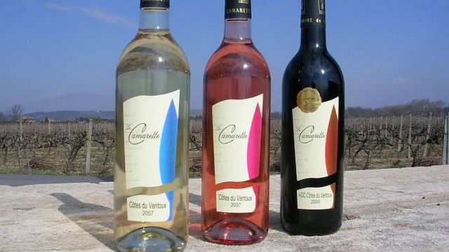 Vin- och oljeprovning och rundtur på Domaine de la Camarette