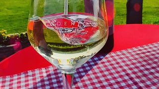 Vinarija Trdenić