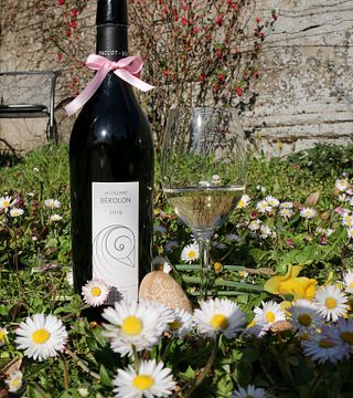 Domaine La Colombe: A Legacy of Biodynamic Winemaking