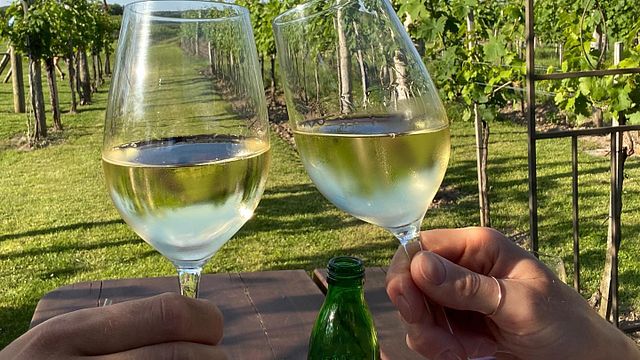 Dégustation de vins et visite au Weingut Alois Höllerer