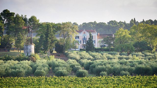 Cata de vinos y visita al Château Canet