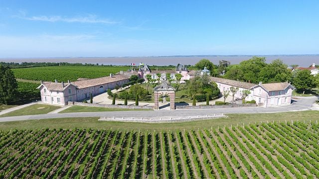 Vinho e bicicleta no Château Loudenne