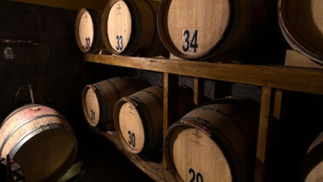 Weinliebhaber in der Cantina Le Macchie