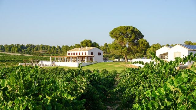 Dégustation de vins à la Bodega Finca Cor Vi