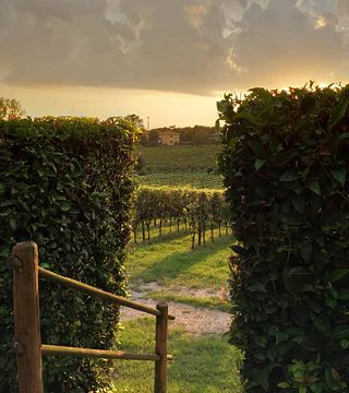 Peri Bigogno Winery