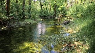 Naturvin och middag | Jokaš