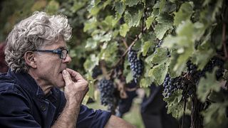Dégustation de vins et visite à Dalle Ore
