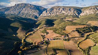 Languedoc-Roussillon Vineyard Tour & Tasting at Domaine des Schistes