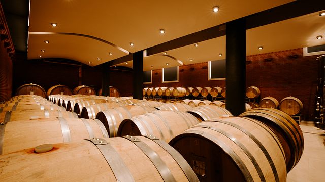 Degustazione 5 Vini da Voerzio Martini