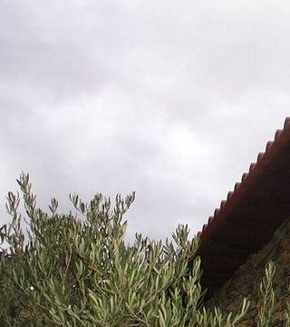 Quinta Do Jalloto