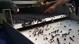 Vignobles Rousselot