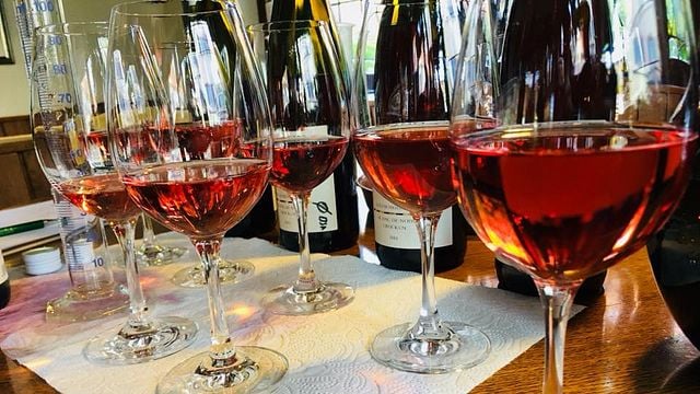 Degustação de vinhos e tour em Weingut Eymann