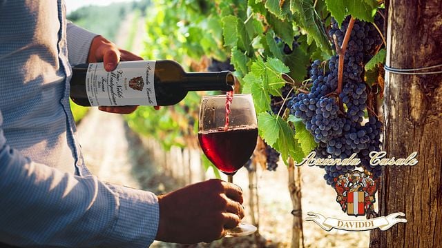 Basic Tasting