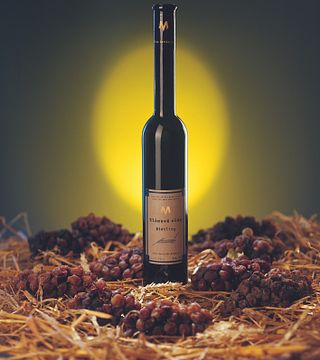 Vinprovning och rundtur på Víno Marcinčák Organic Winery