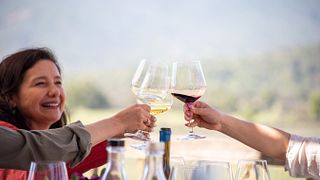 Visite du vignoble Tanagra et dégustation de vin