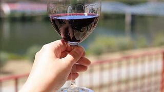 Vinprovning och rundtur på Douro Best