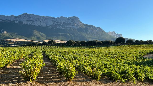 Descubra a desconhecida região vinícola de Rioja