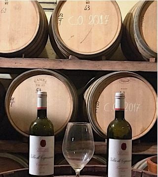 Tour privato di mezza giornata a Carmignano da Firenze: il primo Cabernet Sauvignon in Toscana