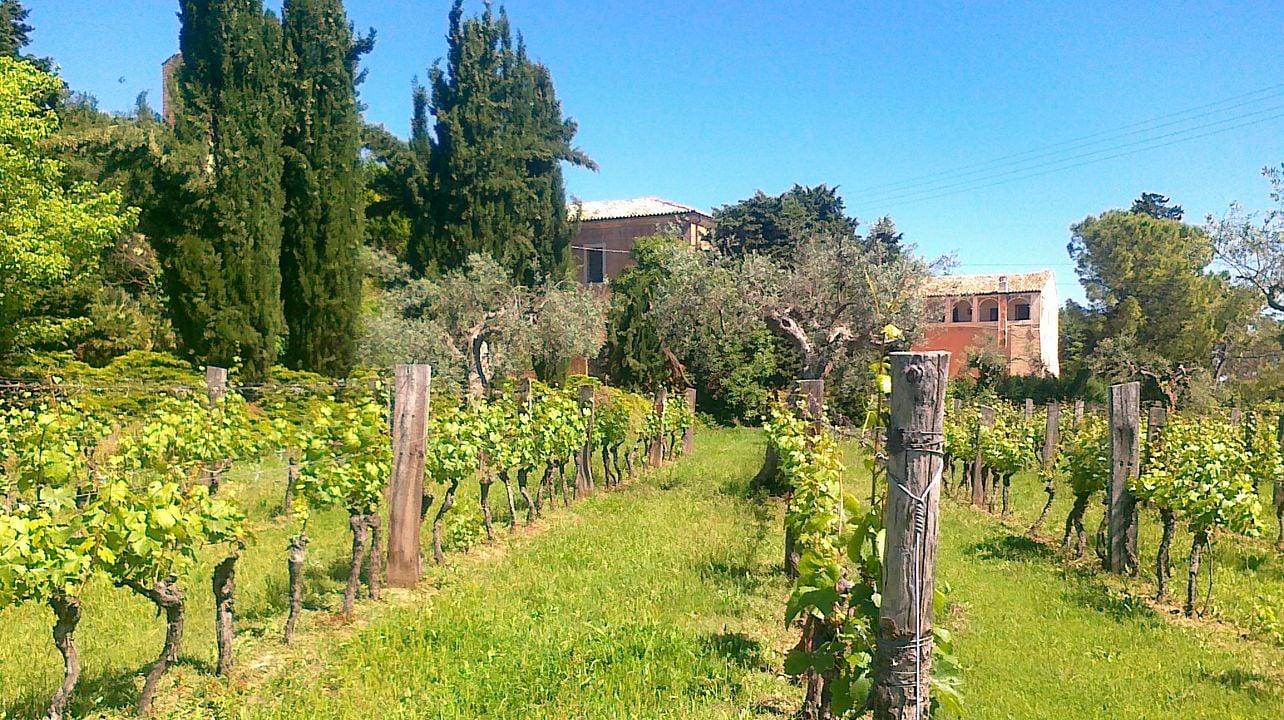 Weinprobe-Erlebnis | Abbazia di Propezzano