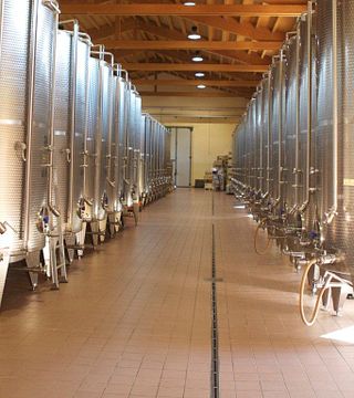 Visite privée 100% Expérience Garganega