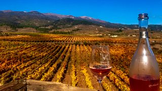 Tenerife, isla de singulares vinos volcánicos
