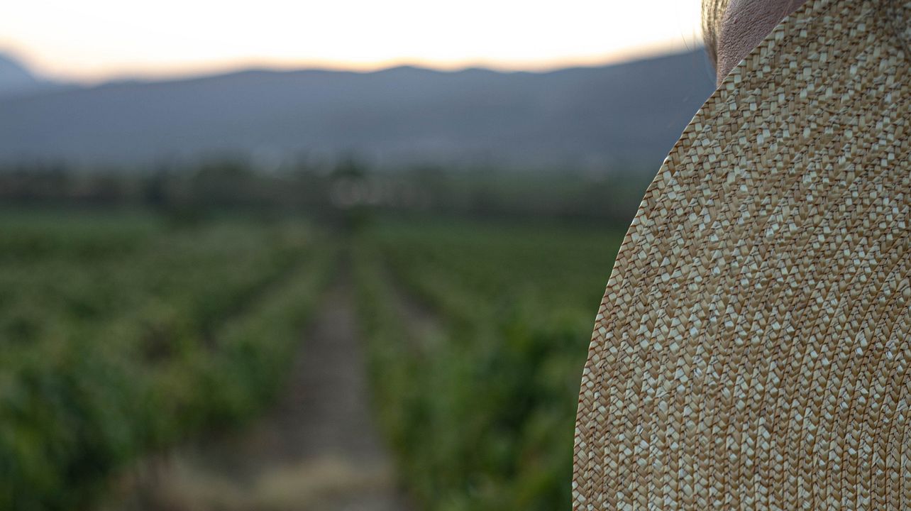 Barafakas Winery