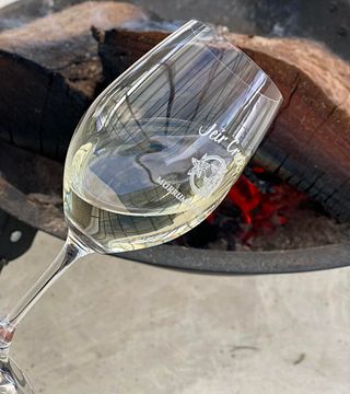 Visita y cata de vinos en Jeir Creek, Nueva Gales del Sur