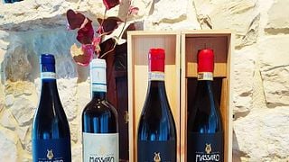 Vinprovning med besök i källaren på Azienda Agricola Massaro Norma