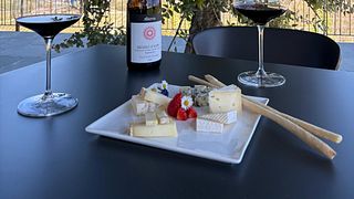 Visita a viñedos y bodega, seguida de catas de vino y queso (incluido Barolo).