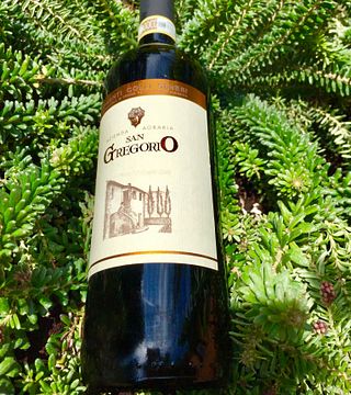Vinprovning och rundtur på Azienda Agraria San Gregorio