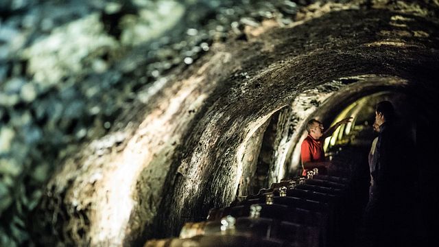 Degustazione di vini nella regione vinicola di Tokaj 