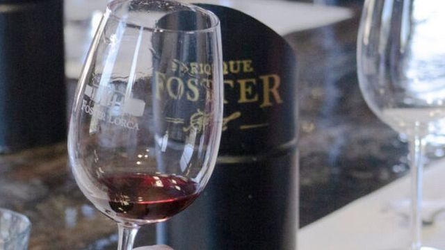 Dégustation de vins et visite de la Bodega Foster Lorca
