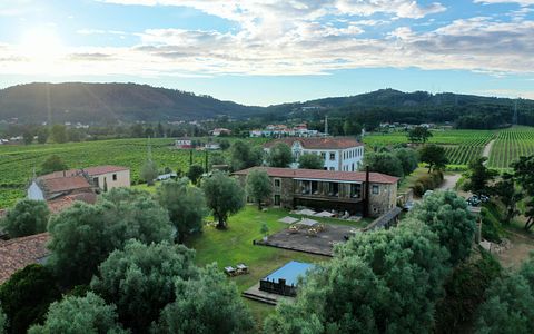 Pernottamento presso Terra Rosa Country House e Vigneti 