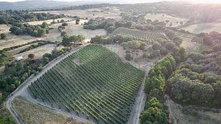 La Neula