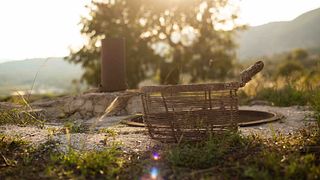 Valencia Vineyard Hike & Wine Delight