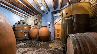 Celler Nin Ortiz: A Unique Winery in Catalonia