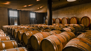 The taste of the Langhe: 3 Barolos from Fortemasso plus 1 surprise wine
