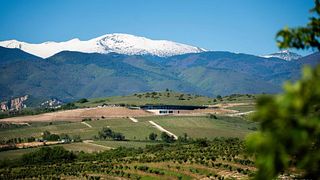 Harsovo's Secrets